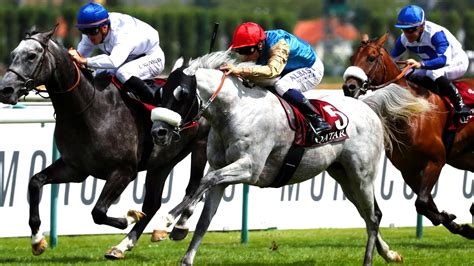 jackturf|Pronostic pour le Quinté du Jour à VICHY .